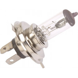 HALOGEN GLOBE - P43T 55WATT