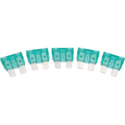 BLADE FUSE - 30 AMP 5 PER SET