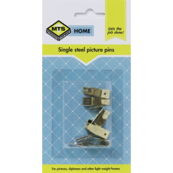 MTS HOME  SINGLE STEEL PICTURE PINS 6PC