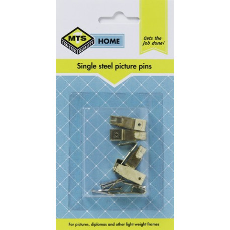 MTS HOME  SINGLE STEEL PICTURE PINS 6PC