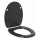 MTS HOME TOILET SEAT MAHOGANY