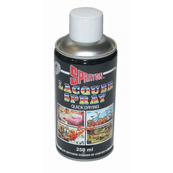 SPRAYON PAINT  WHITE APPLIANCE 250ML