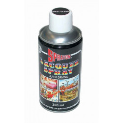 SPRAYON PAINT  CLEAR MATT 250ML