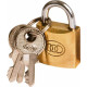 PADLOCK TRI BRASS NO261 20MM CASE/600