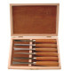 CHISEL SET WOOD CARVING 6 PIECE WOODEN BOX