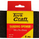 SANDING SPONGE D/SIDED 100X70X25MM 80/120GRIT