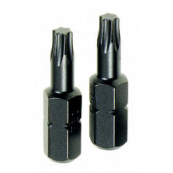 TORX TX25 INSERT BITS 2 PCE