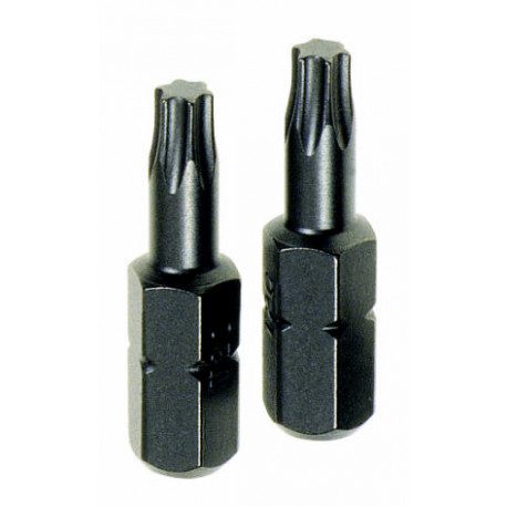 TORX TX25 INSERT BITS 2 PCE