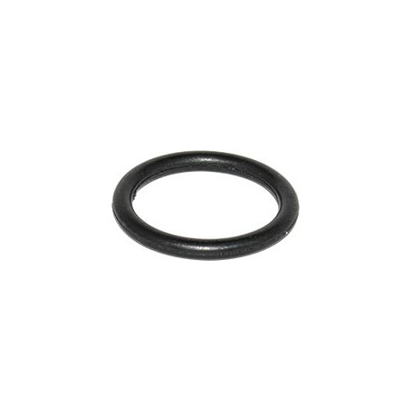 O-RING FOR H2000 SPRAY GUN