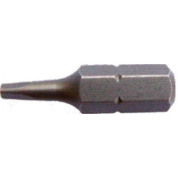 TRIANGULAR BIT X 25MM