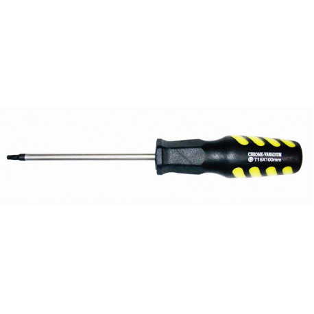 SCREWDRIVER TORX T27 6 X100MM