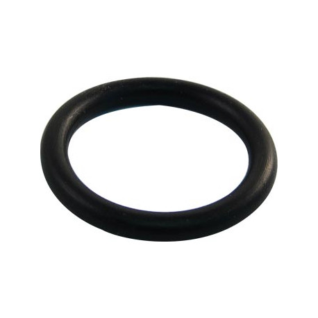 O-RING FOR CENTRE SHAFT FOR 20215 HOSE REEL